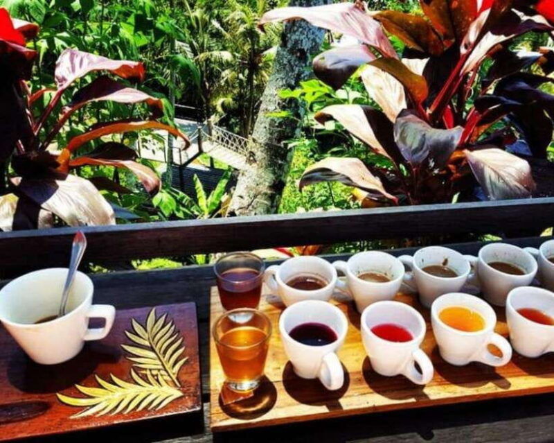ubud-customised-bali-ubud-tour-with-transfer