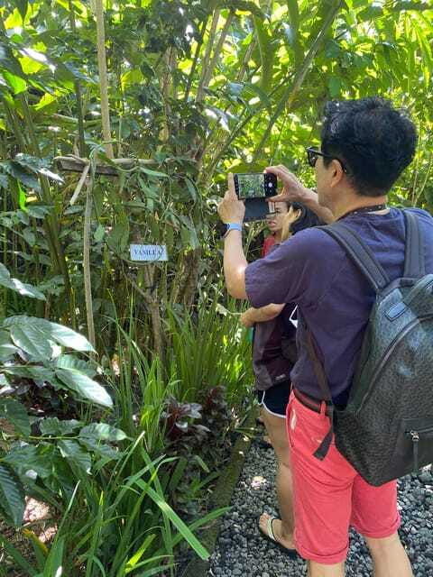 ubud-customised-private-day-trip-with-personal-driver