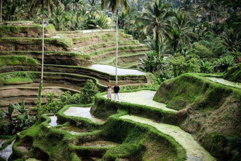 ubud-customize-tour-with-tour-guide