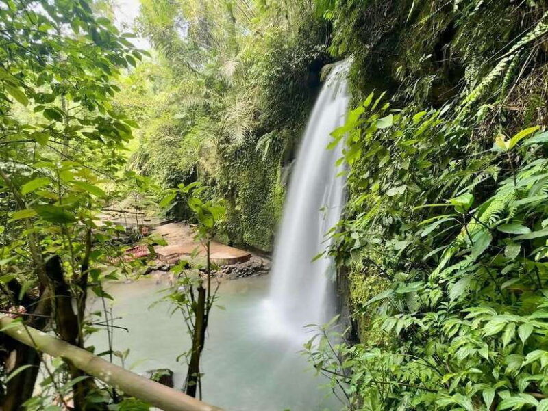 ubud-hidden-waterfall-monkey-forest-rice-terrace-swing