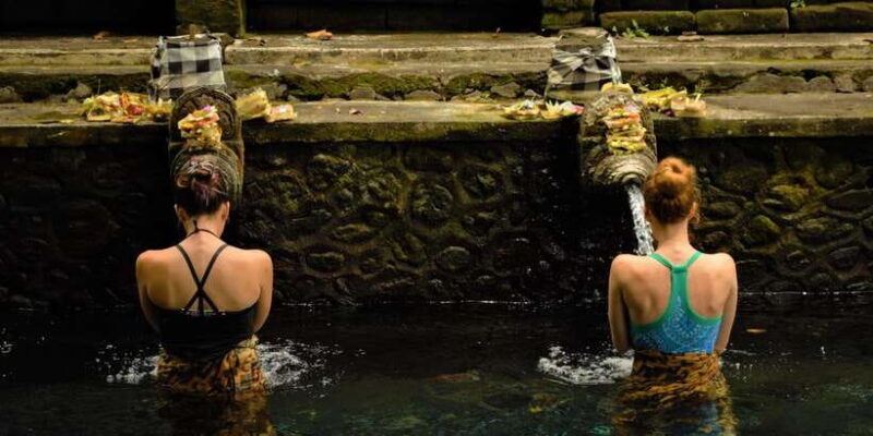 ubud-rice-terrace-holy-water-temple-waterfalls-trek-tour