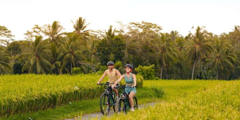 ubud-rice-terrace-villages-e-bike-tour-by-alasan-adventure