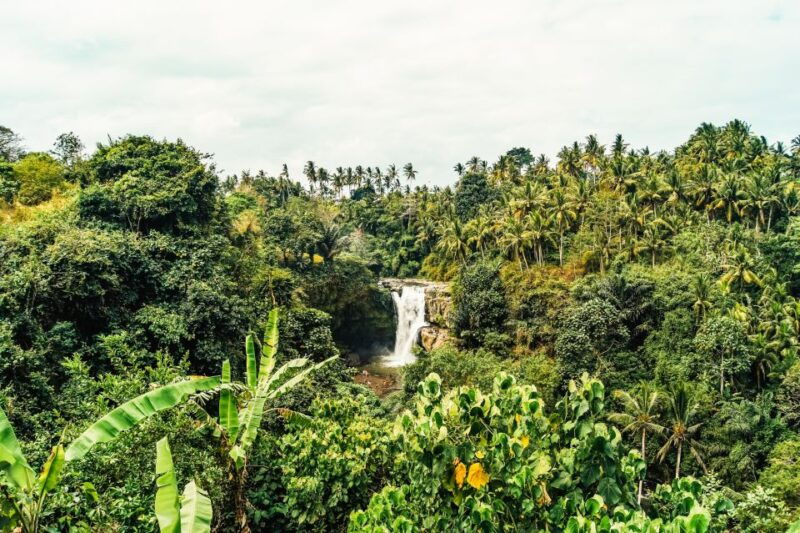 ubud-spectacular-waterfalls-tour
