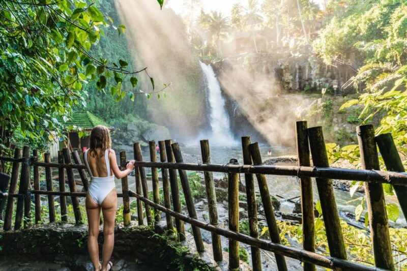 ubud-waterfall-rice-terraces-monkey-forest-tour