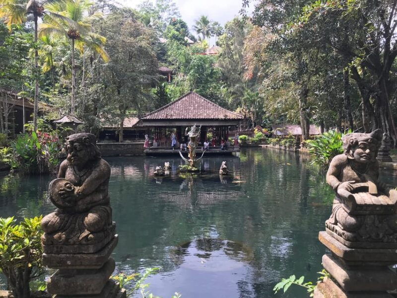 ubudmonkey-forest-rice-terraces-water-temples-waterfalls