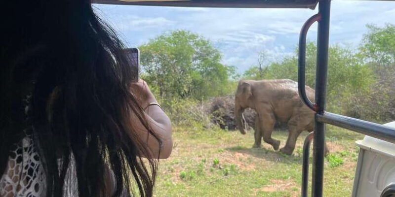 udawalawe-national-park-wildlife-safari-from-galle