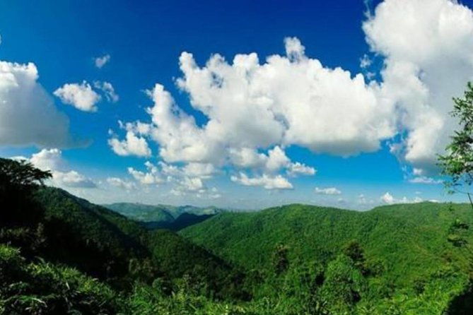 UNESCO Khao Yai National Park Adventure: Hiking & Waterfalls - Who Should Consider This Tour?