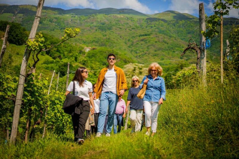 valdobbiadeneprosecco-superiore-hills-tour-with-winetasting