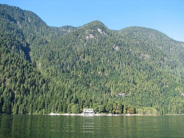 vancouver-brunch-cruise