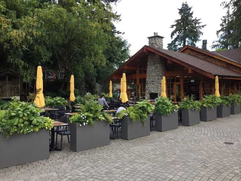 vancouver-city-and-mountain-adventure-with-grouse-mountain
