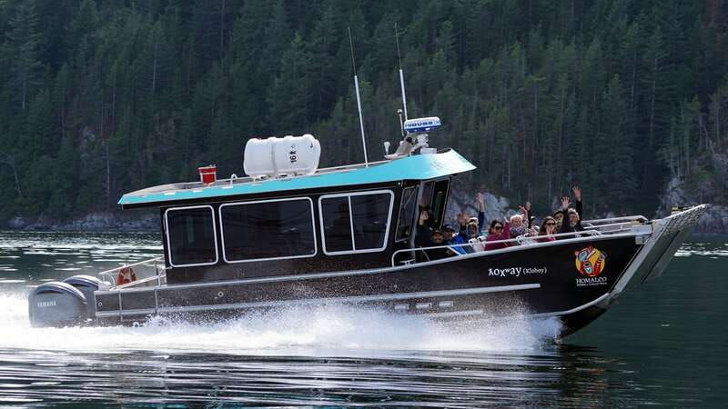 vancouver-island-spring-bears-and-whales-full-day-tour
