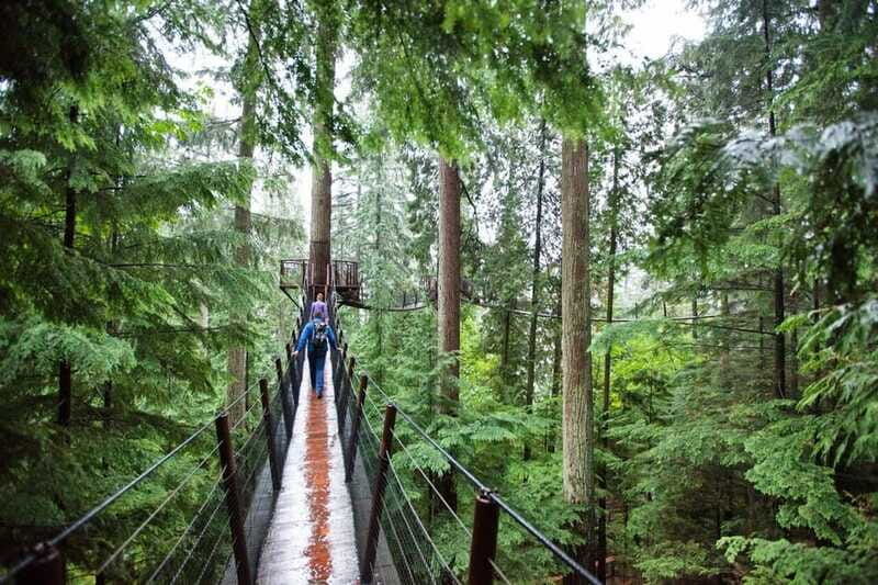 vancouver-small-group-tour-w-capilano-grouse-mtn-lunch