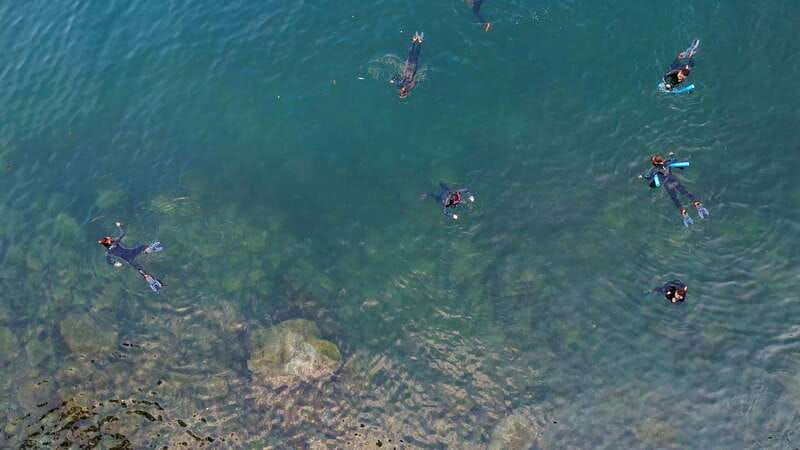 vancouver-snorkeling-seals-kayaking-scenic-boat-tour