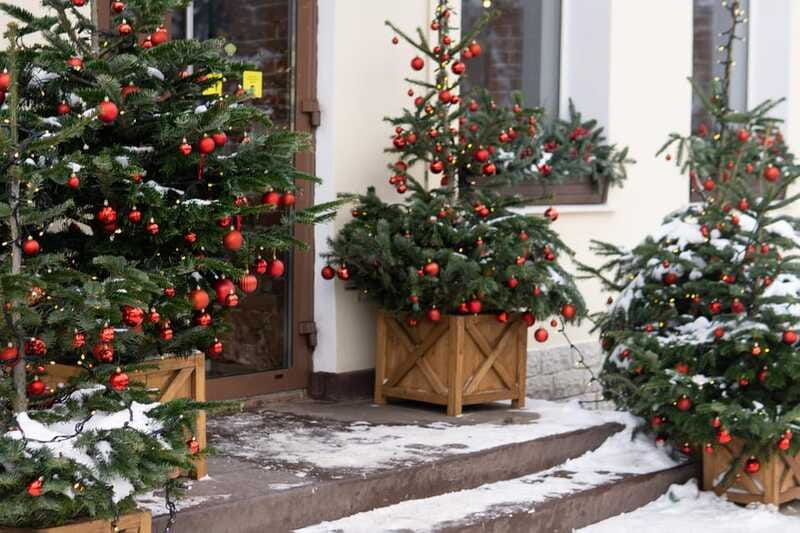 vancouvers-festive-shoreline-a-christmas-walking-tour