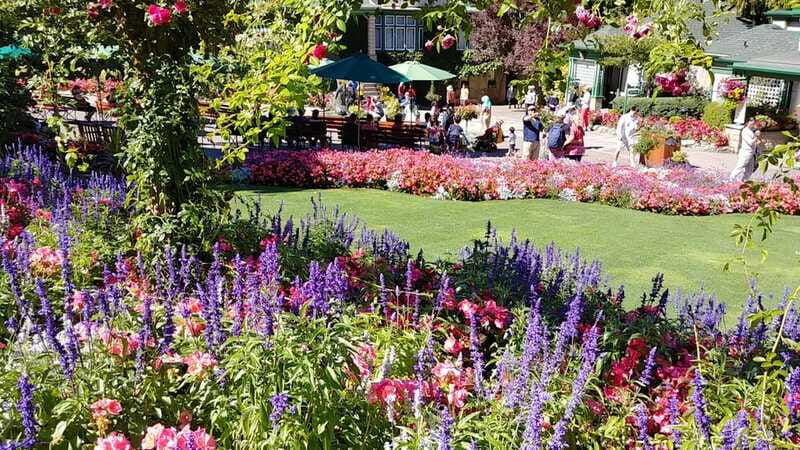 victoria-butchard-gardens-private-tour-from-vancouver