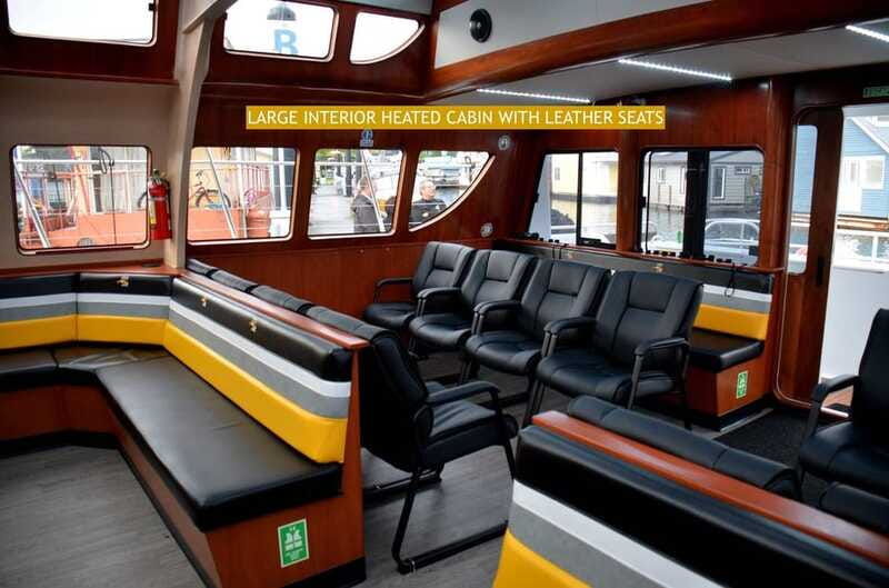 victoria-guided-whale-and-wildlife-watching-cruise