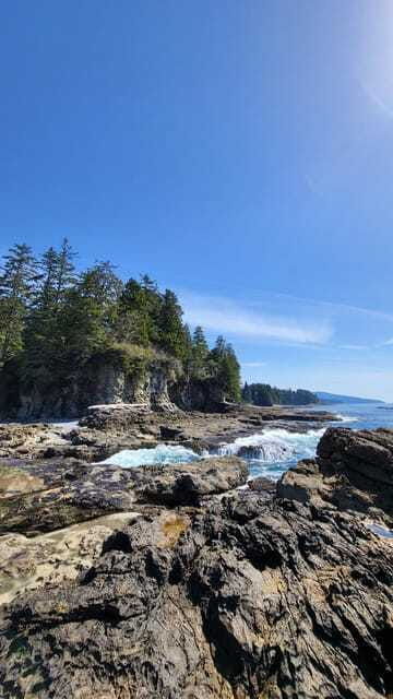 victoria-west-coast-big-tree-coastal-adventure