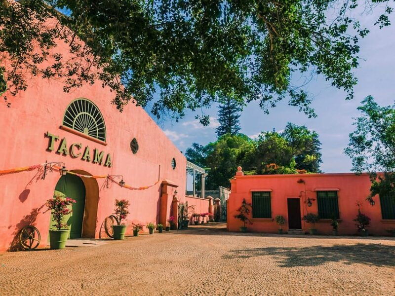 visit-to-the-tacama-winery-wine-and-pisco-tasting