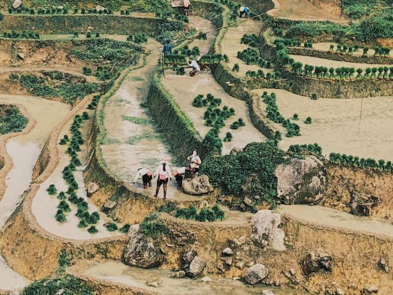 visit-villages-terrace-rice-field-with-easy-riders-half-day