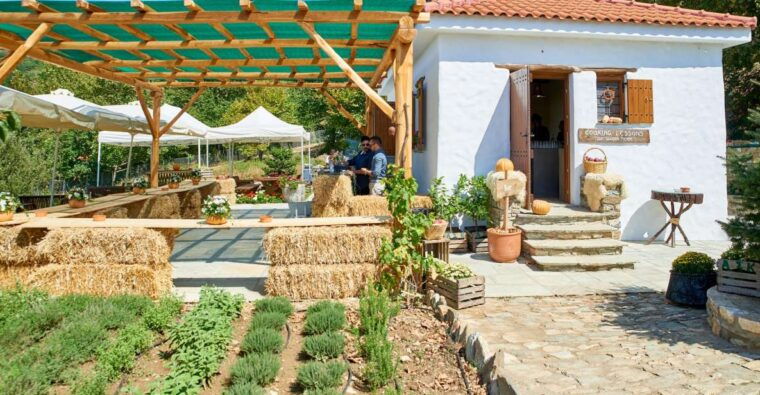 volos-cook-like-a-local-at-a-greek-farm