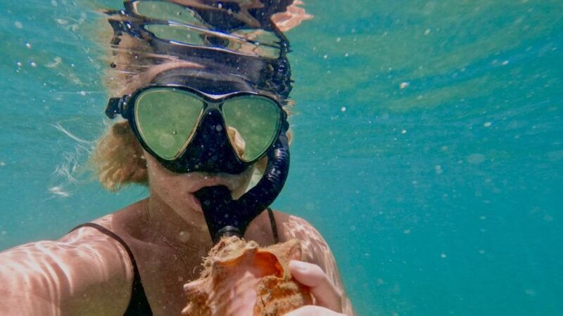waikiki-honolulu-beginner-snorkeling-tour-with-videos