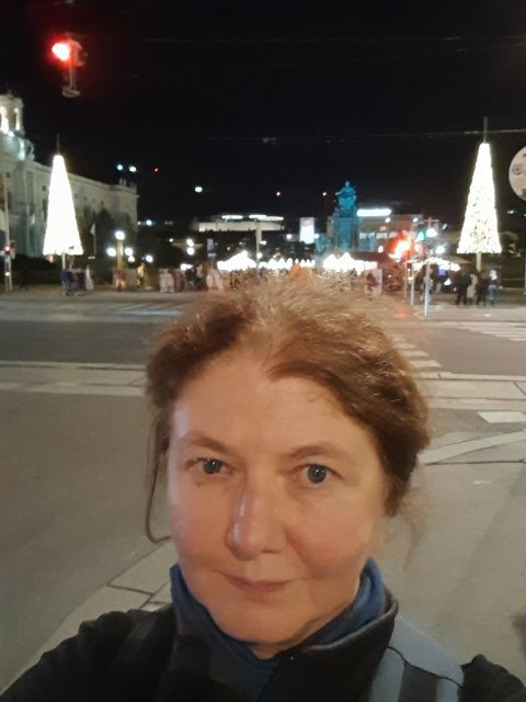 walking-on-the-historical-trail-of-viennese-christmas-trees