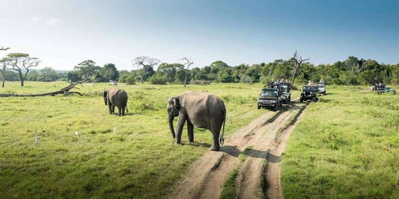 wasgamuwa-national-park-safari-private-jeep