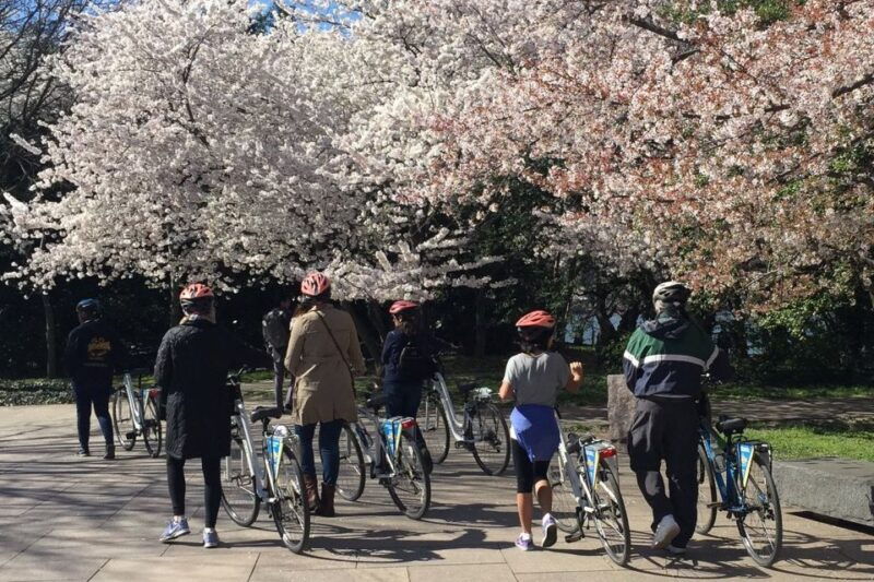 washington-dc-cherry-blossom-festival-tour-by-bike