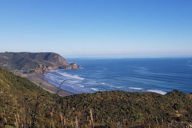 West Coast Discovery - Piha Beach or Muriwai Beach from Auckland - Final Thoughts: Is It Worth It?