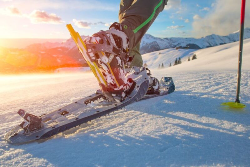 whistler-backcountry-snowshoeing-tour-with-guide