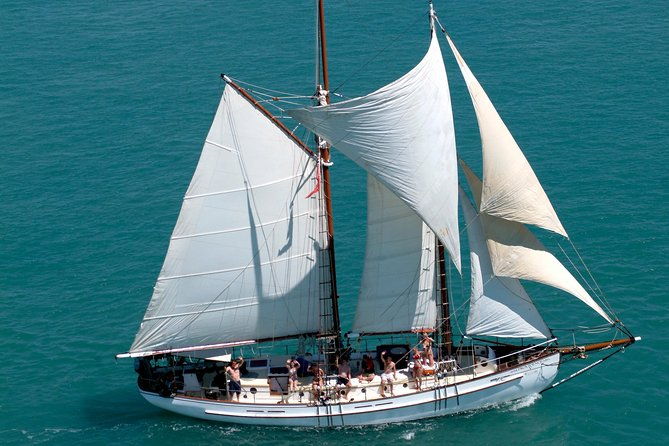 Whitsunday Islands Private Sailing Experience with Snorkeling & Langford Reef - The Reviews: Authentic Perspectives  