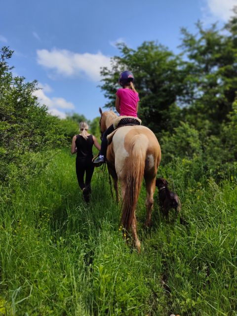 wild-spring-ranch-rakovica-croatia-horse-riding