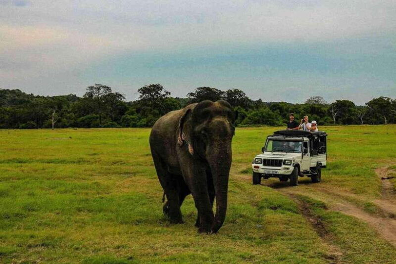 wildlife-sri-lanka-10-day-all-inclusive-tour