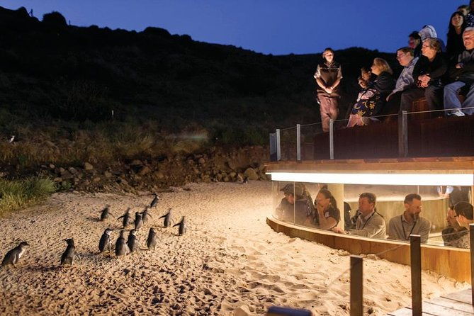 Wilson's Promontory & Phillip Island - 'Prom & Penguins' Tour - Final Thoughts: Who Should Consider This Tour?