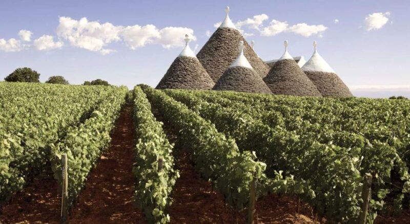 wine-tasting-experience-in-the-apulian-countryside