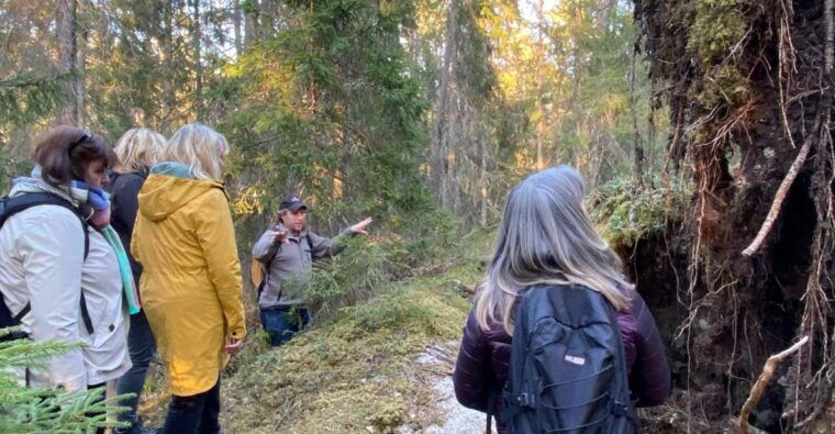 wolf-and-wildlife-tracking-in-sweden-2