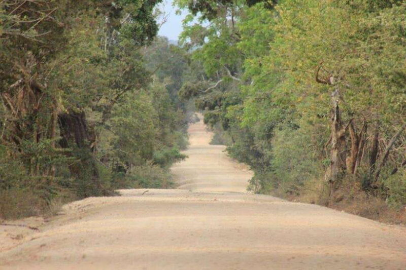 yala-national-park-7-hours-or-full-day-tour