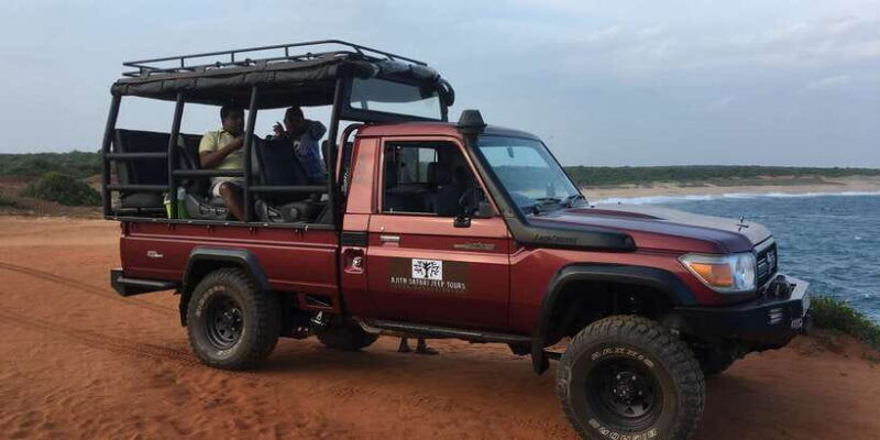 yala-national-park-leopard-safari-full-day-tour-with-lunch-2