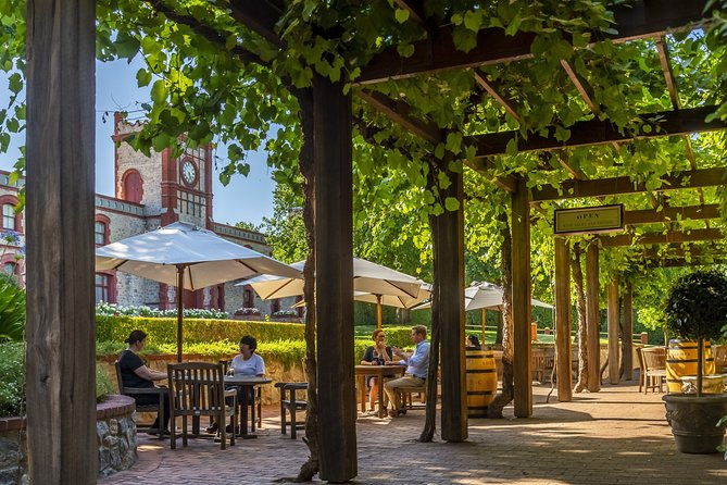 Yalumba Nursery & Grenache Discovery Tour + Platter Lunch - Additional Practical Details