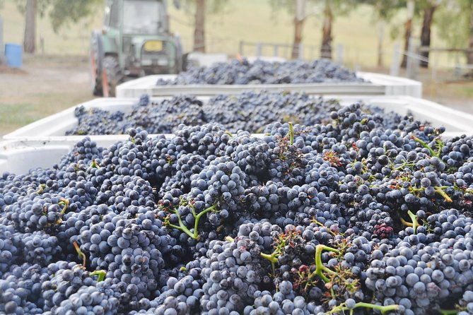Yarra Valley Exceptional - Private Day Tour - For 2 - with Lunch - Who Would Love This Tour