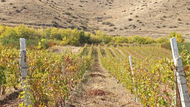 yerevan-khor-virap-day-trip-with-mount-ararat-wine-tasting