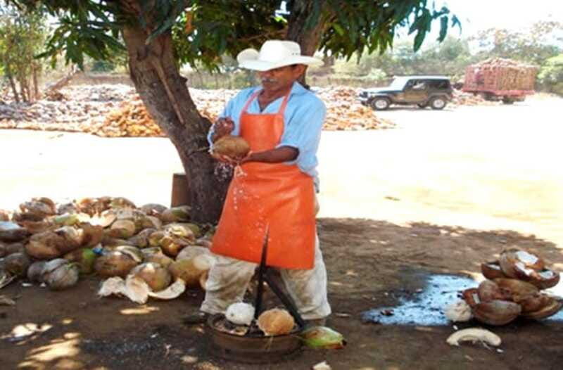 zihuatanejo-ixtapa-countryside-tour