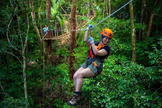 Ziplining Cape Tribulation with Treetops Adventures - Who Is This Tour Best For?