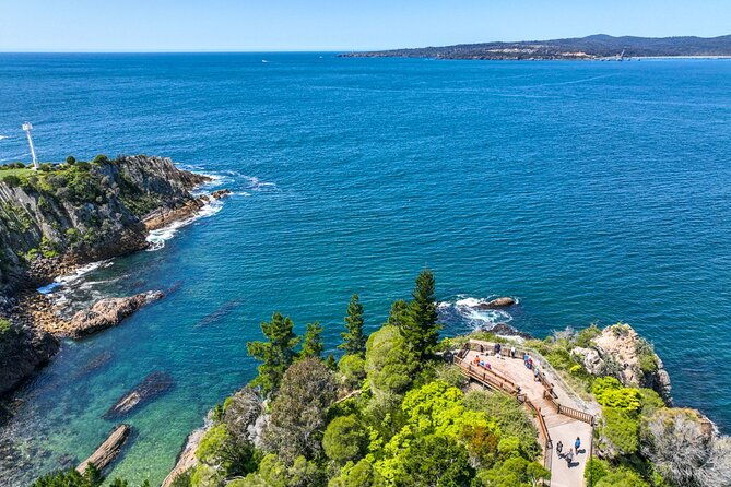 5hr Eden Tour in Nature; Beach, Lookout & National Park - Introduction: Exploring Eden’s Natural and Cultural Gems