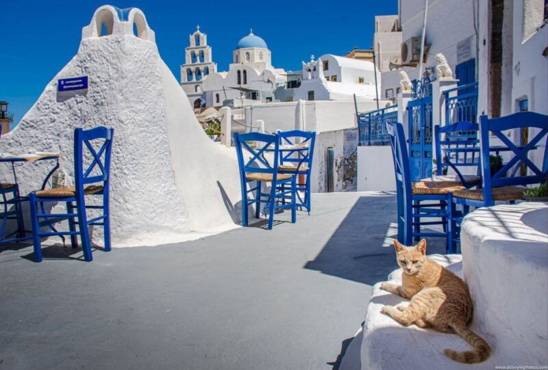 6-hour-sightseeing-private-guided-tour-by-van