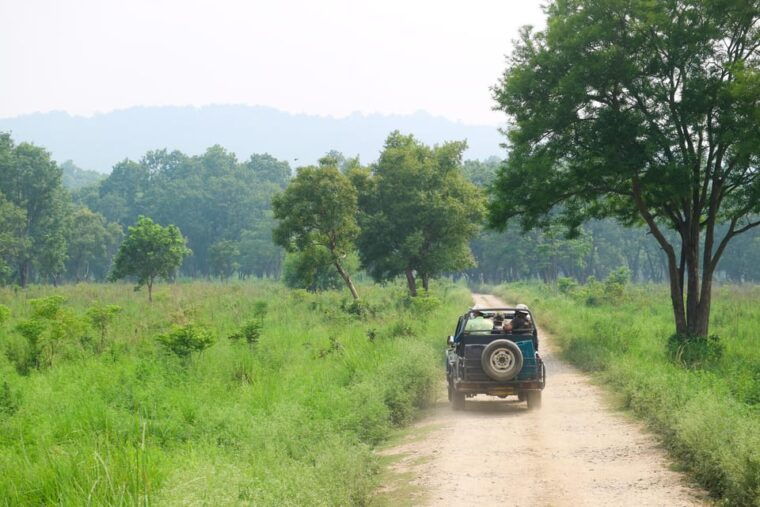 2-days-chitwan-jungle-safari-tour-from-pokhara-kathmandu