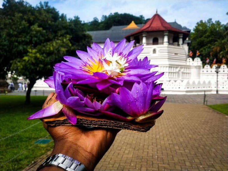 2-days-sri-lanka-all-inclusive-tour-to-ella-and-yala-with-4-star-hotel