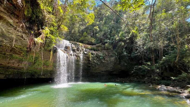 2d1n-jungle-hike-to-2-waterfall-with-a-4x4-journey