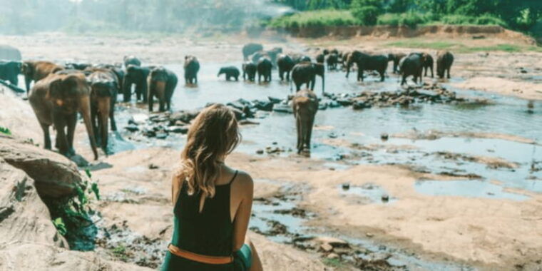 3-day-glimpse-of-sri-lanka-private-tour
