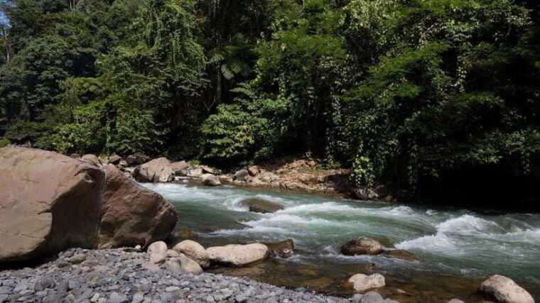3-days-2-nights-orangutan-trek-bukit-lawang
